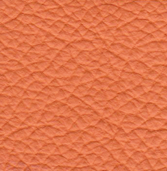 zenith-9037-orange.jpg
